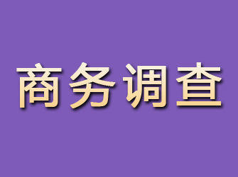 渭源商务调查